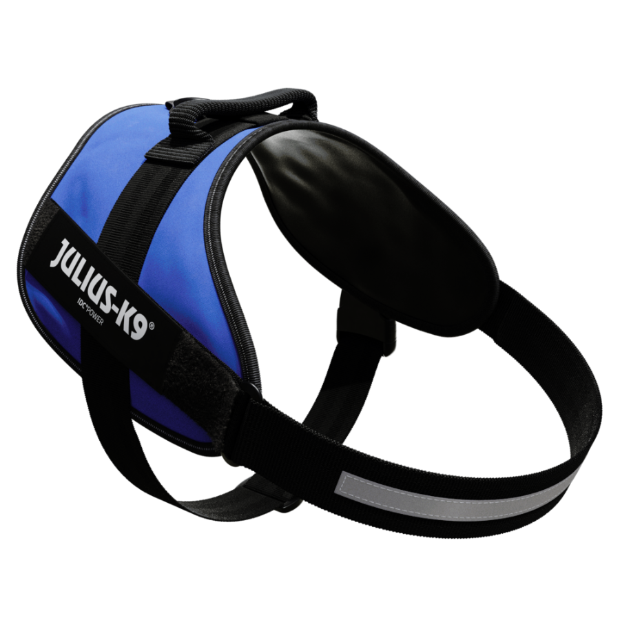 Arn&eacute;s Julius K9 IDC para perros color Azul, , large Imagen numero 4